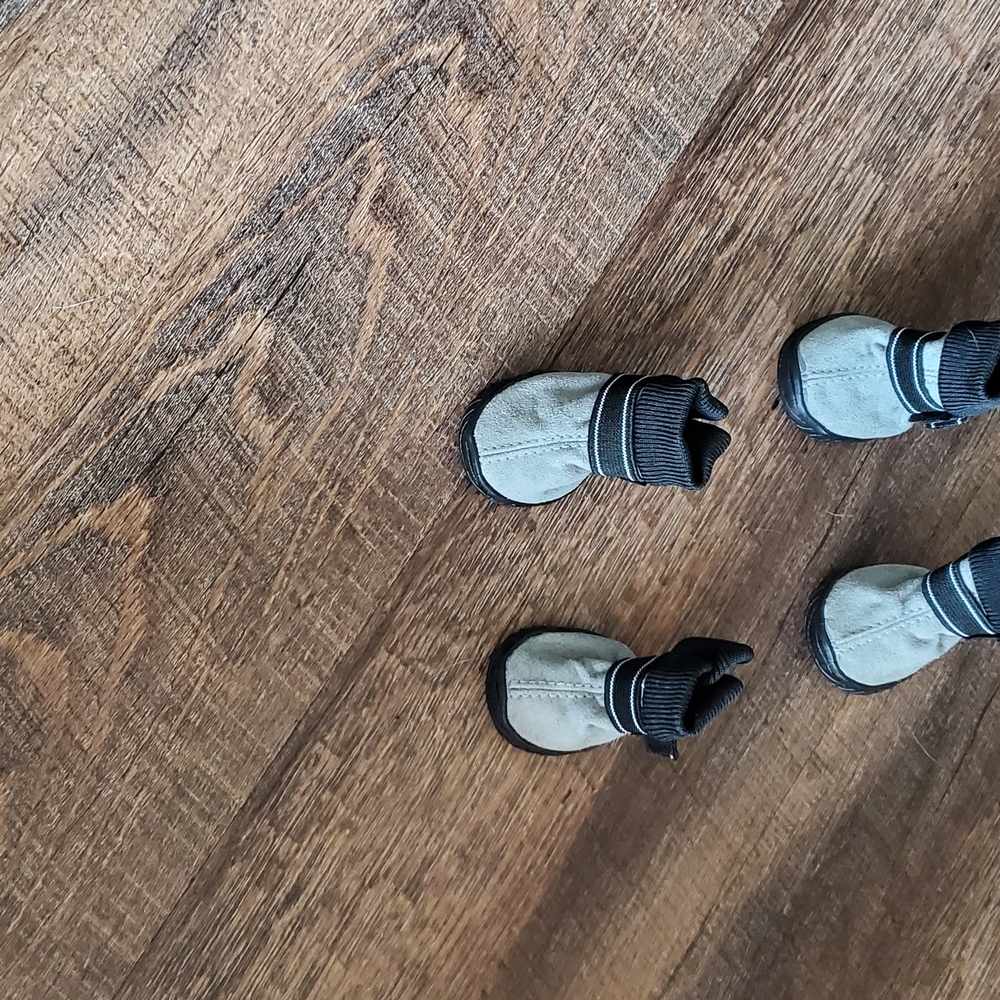 Kids Gray Booties
